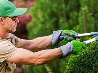 Рабочий зеленого хозяйства