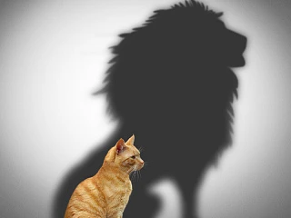 Профессиональная переподготовка