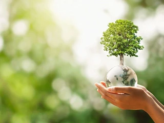 Обеспечение экологической безопасности руководителями и специалистами экологических служб и систем экологического контроля